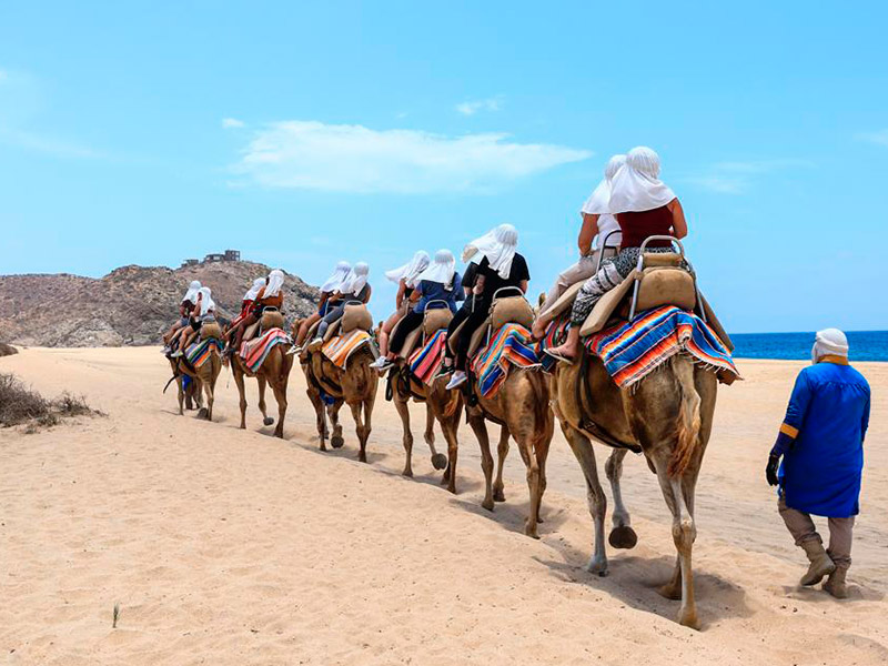 Viajes Culturales - Academic - Slider